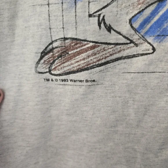 Taz 1993 T Shirt Size M Gray Colorado Looney Tunes Warner Bros Vintage 90s *read - Picture 2 of 14